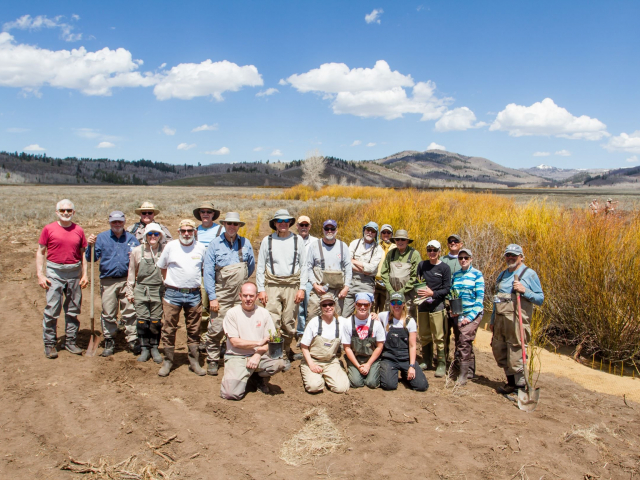 Willow Planting - May 2021