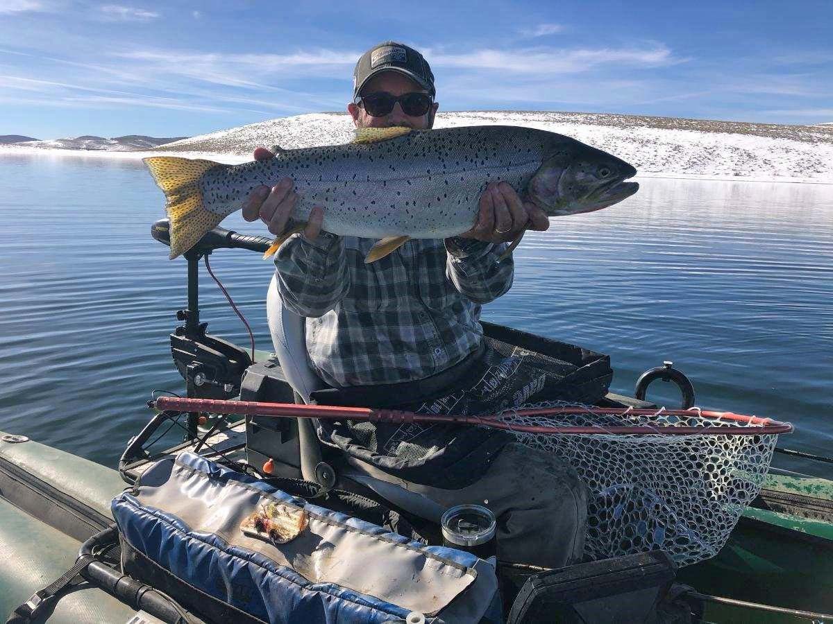 Cutthroat Trout