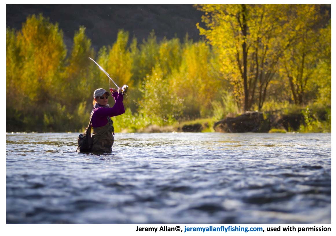 Middle Provo River Temperature Study