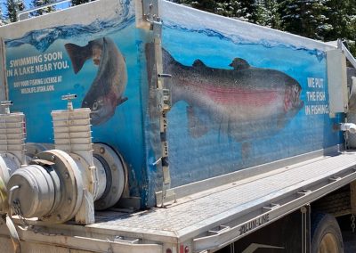 Fish Days 2022 01