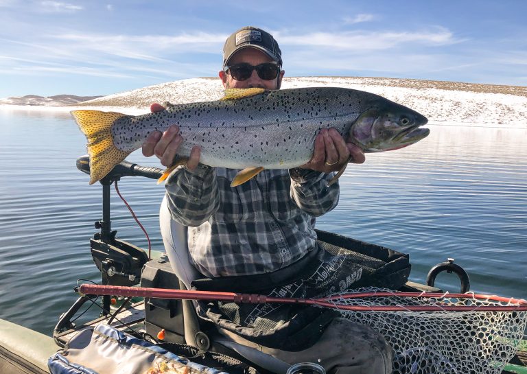 fish tales 133