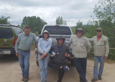 Provo Tree Protection 2016 02