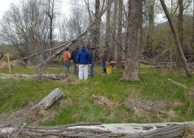 Provo Tree Protection 2016 05