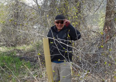 Provo Tree Protection 2016 09