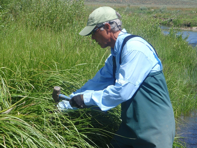 Willow Planting - Jul 2010